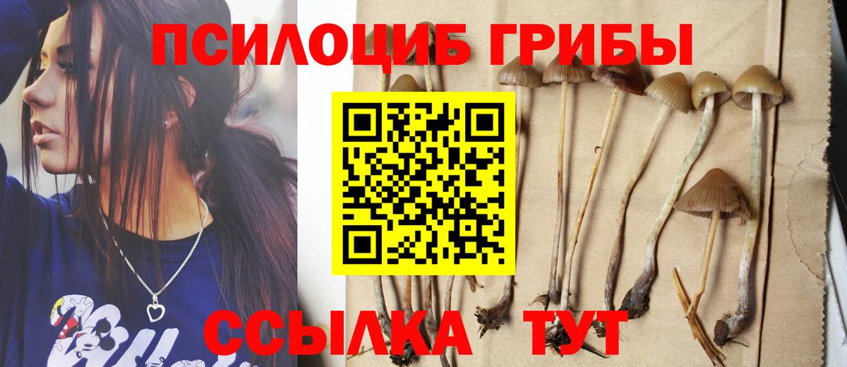Чистополь  Псилоцибиновые грибы GOLDEN TEACHER  Вход с VPN  купить наркотик  Галлюциногенные грибы GOLDEN TEACHER 